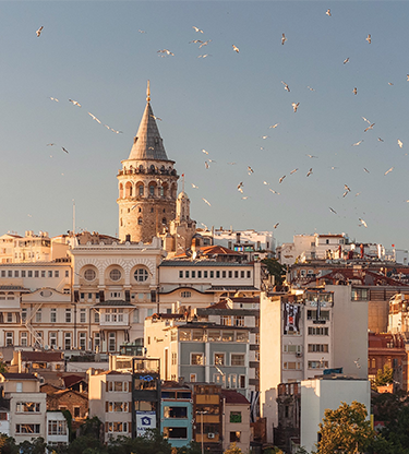 Trade Deal Digest - Turkey