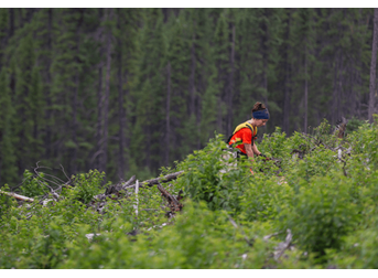 Earth Day 2021 with Moneycorp