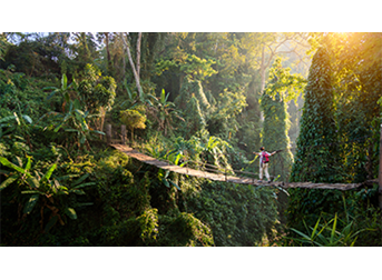 Red Explorer Card